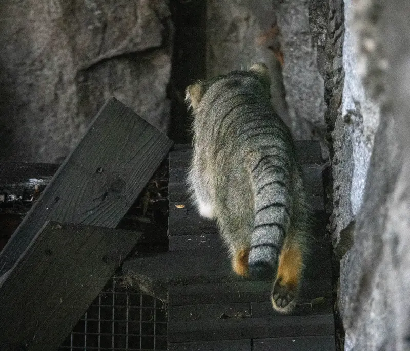 A photograph of Timofey in Moscow zoo