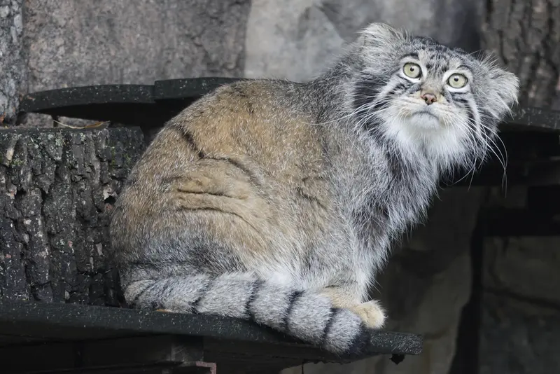 A photograph of Timofey in Moscow zoo