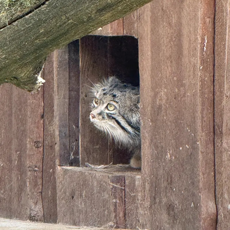 A photograph of Mars in Tallinn Zoo