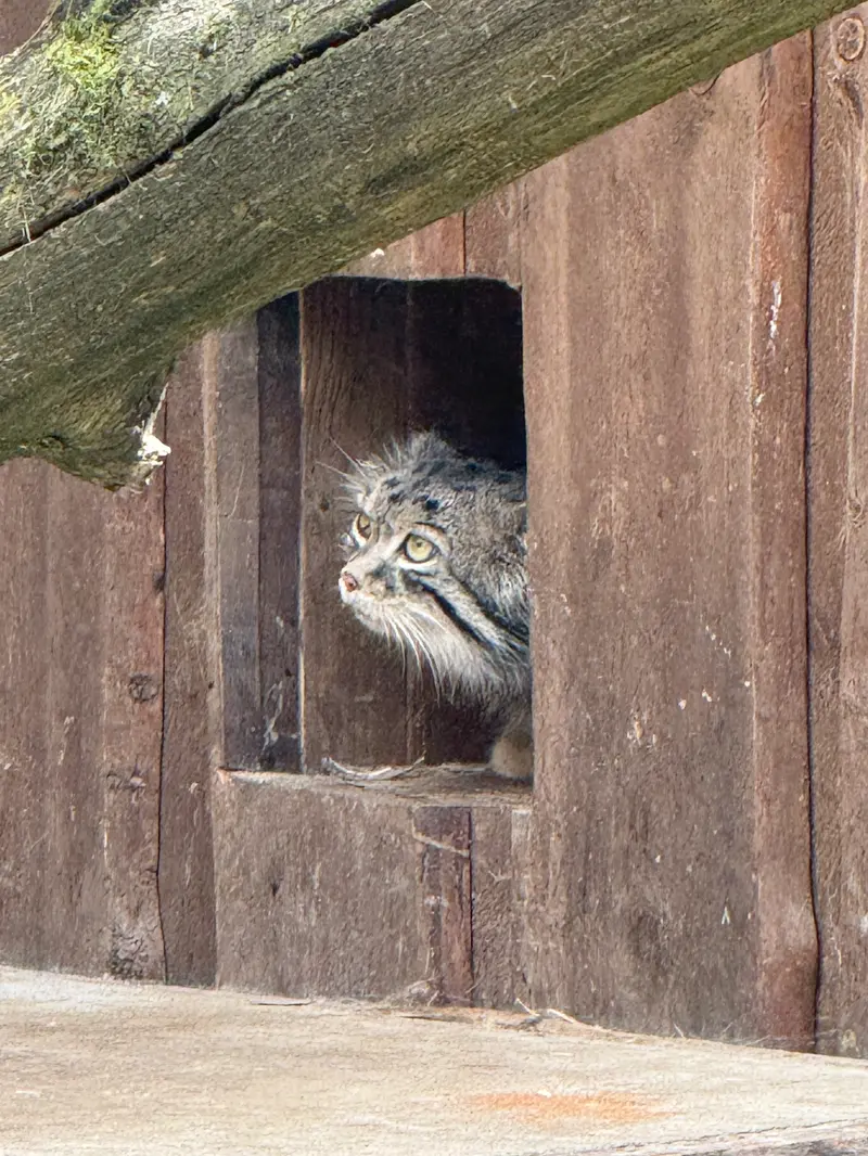 A photograph of Mars in Tallinn Zoo