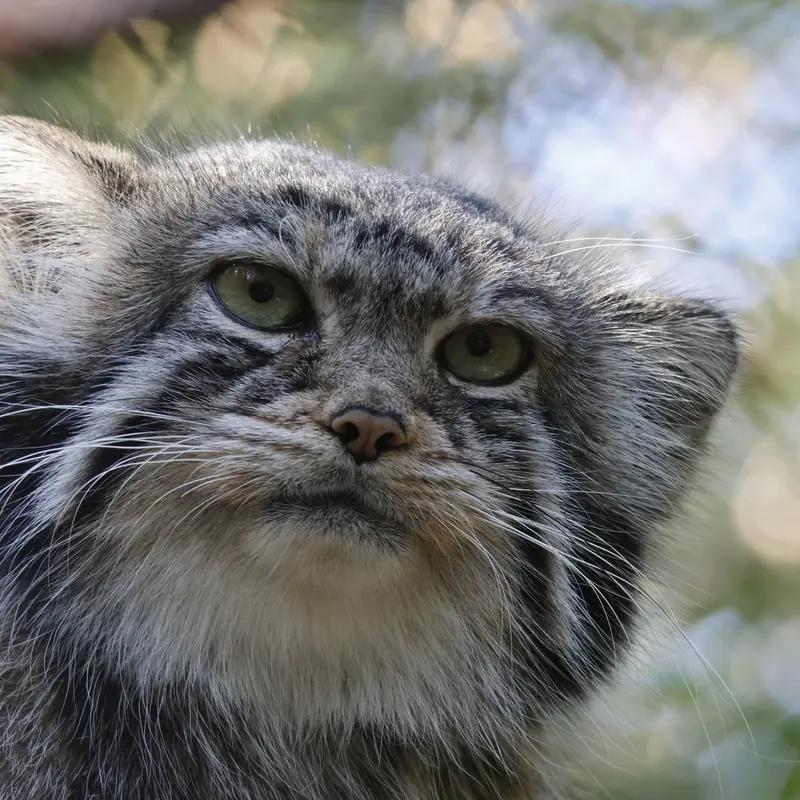 A photograph of Eve in Novosibirsk Zoo