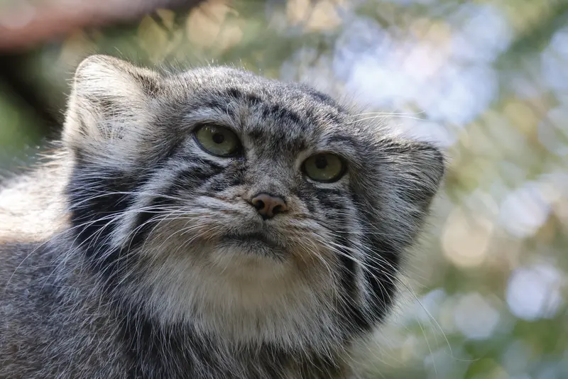 A photograph of Eve in Novosibirsk Zoo