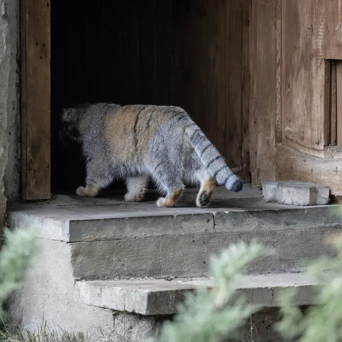A photograph of Timofey in Moscow zoo