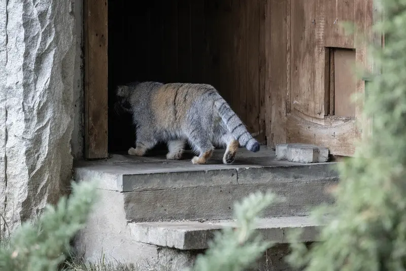 A photograph of Timofey in Moscow zoo