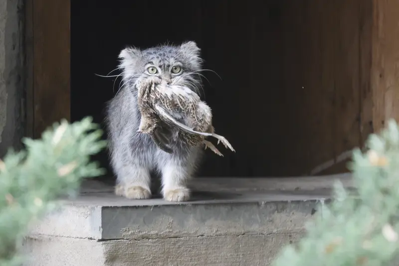 A photograph of Timofey in Moscow zoo