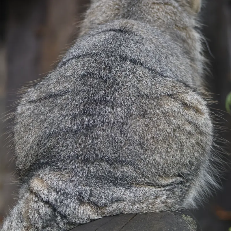 A photograph of Timofey in Moscow zoo
