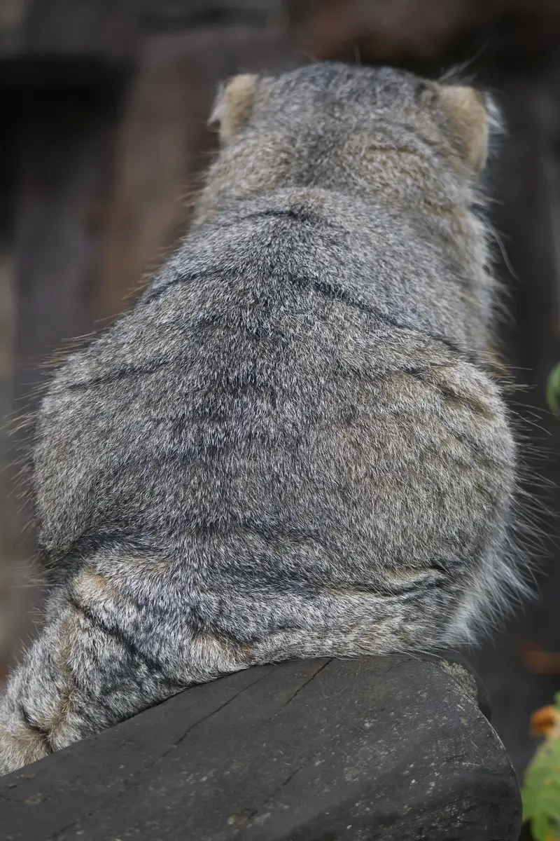 A photograph of Timofey in Moscow zoo