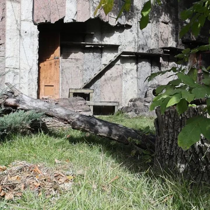 A photograph of Timofey in Moscow zoo