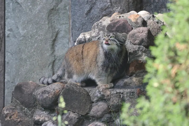 A photograph of Timofey in Moscow zoo