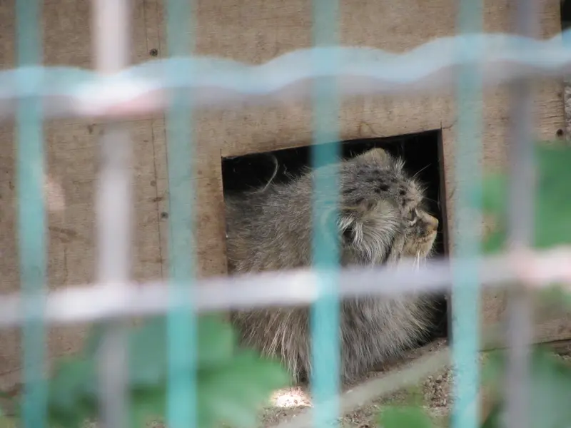 A photograph of Manuela in Magdeburg Zoo