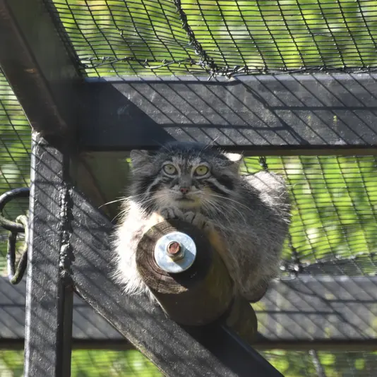 A photograph of Ula in Gdansk Zoo