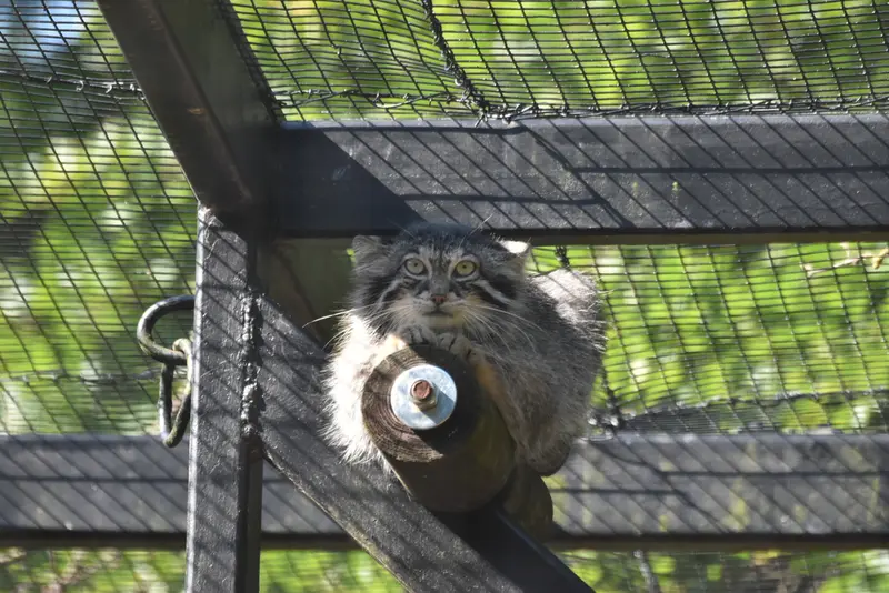 A photograph of Ula in Gdansk Zoo