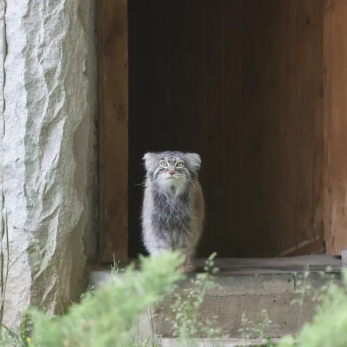 A photograph of Timofey in Moscow zoo