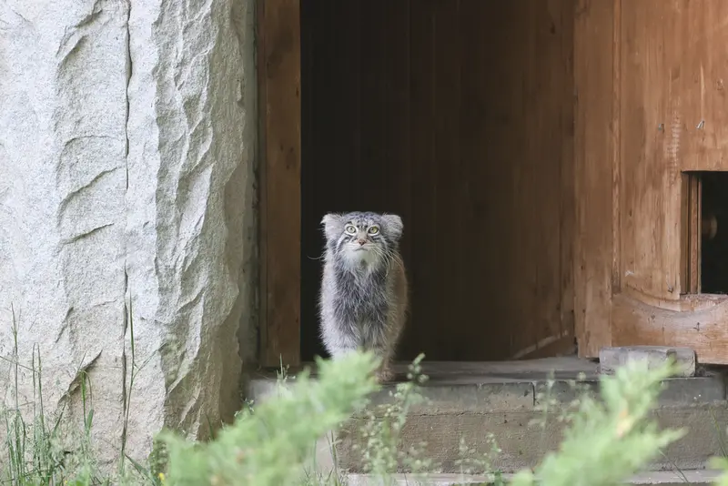 A photograph of Timofey in Moscow zoo