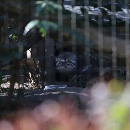 A photograph of Jessie in Warsaw Zoo