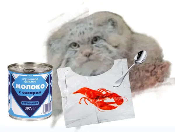 I want to feed Baby Shu Sguschonka!