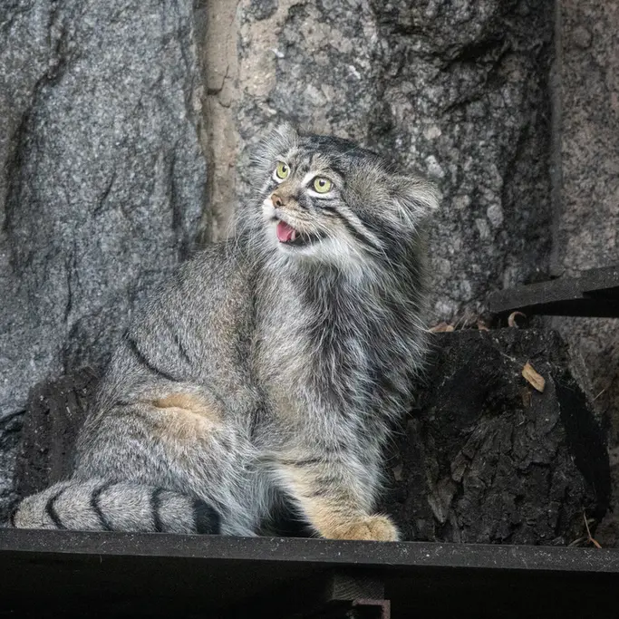 A photograph of Timofey in Moscow zoo