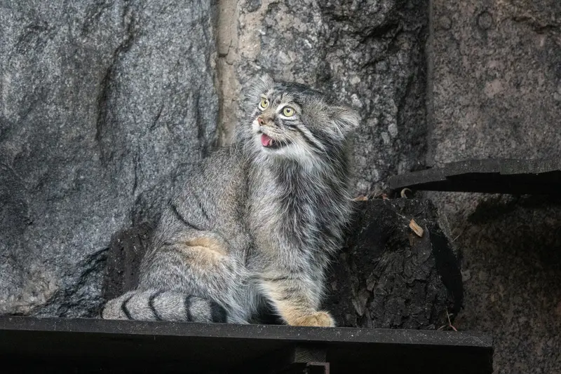 A photograph of Timofey in Moscow zoo