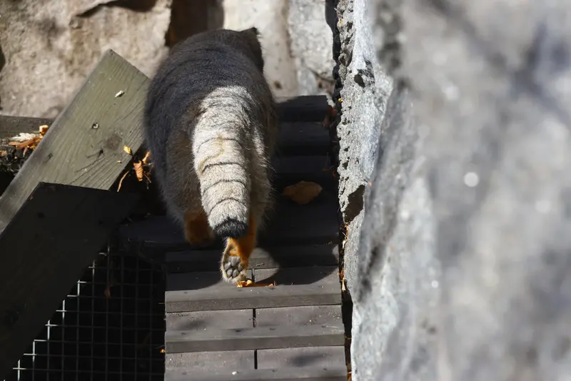 A photograph of Timofey in Moscow zoo
