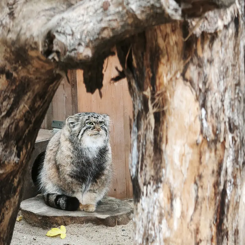 A photograph of Anya in Novosibirsk Zoo