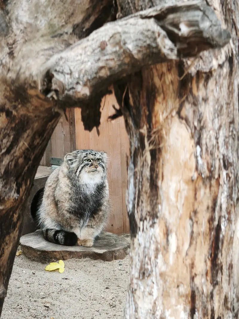 A photograph of Anya in Novosibirsk Zoo