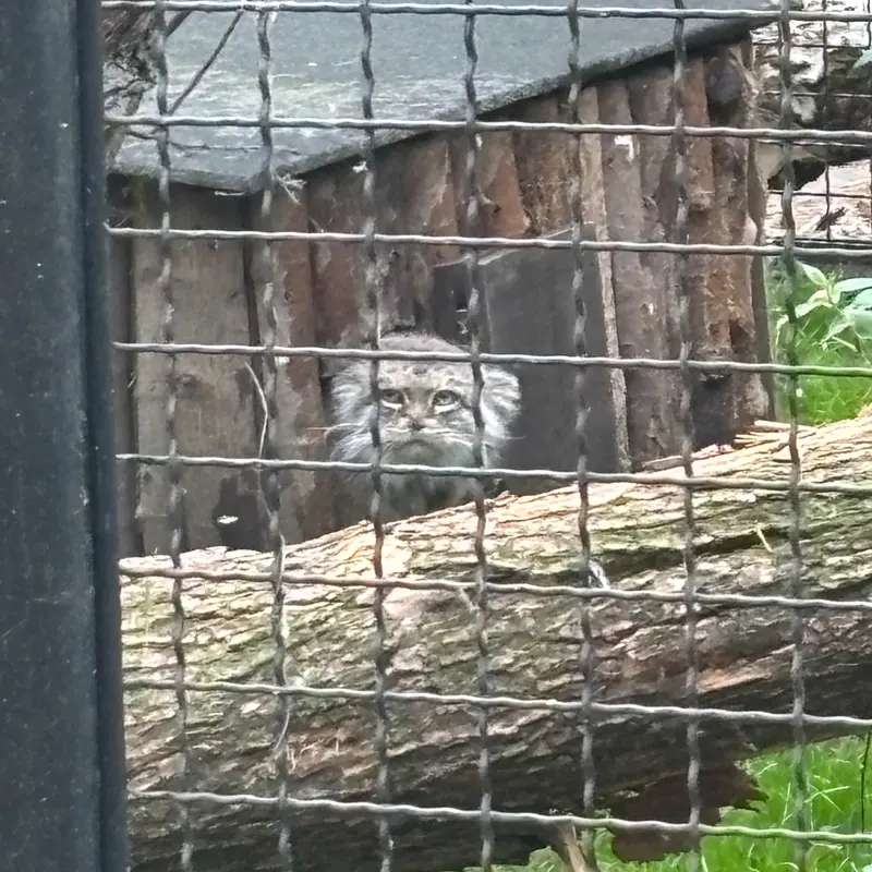 A photograph of Jessie in Warsaw Zoo