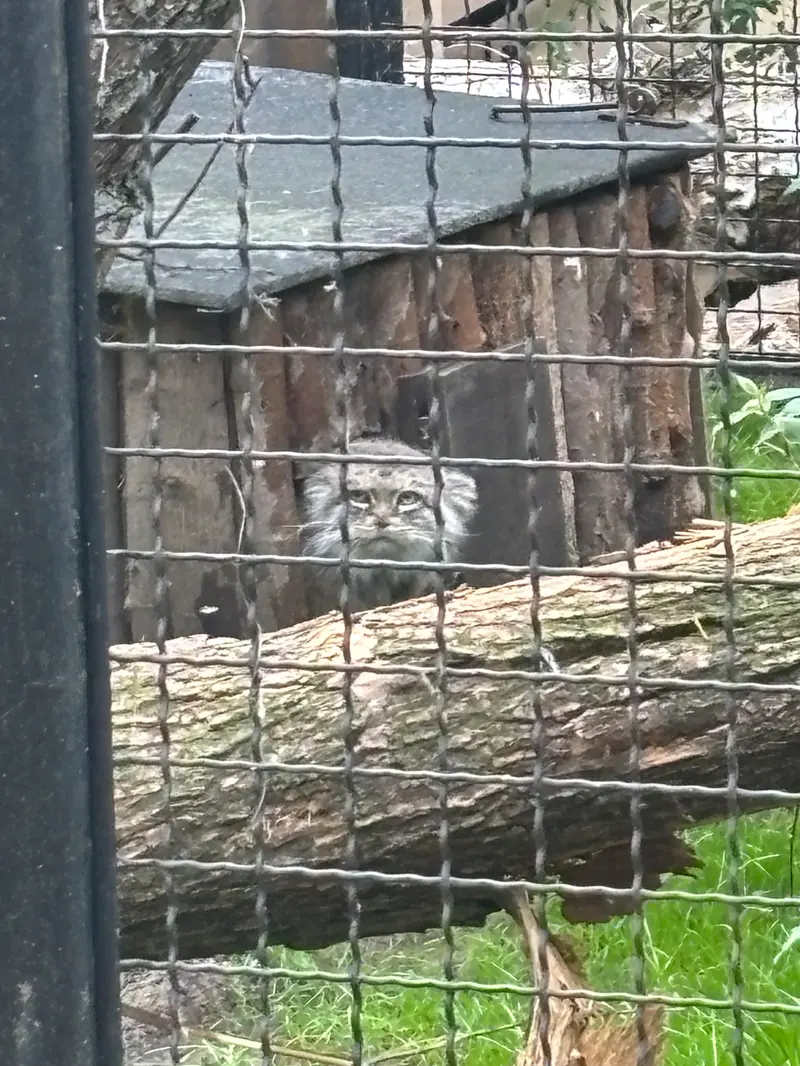 A photograph of Jessie in Warsaw Zoo