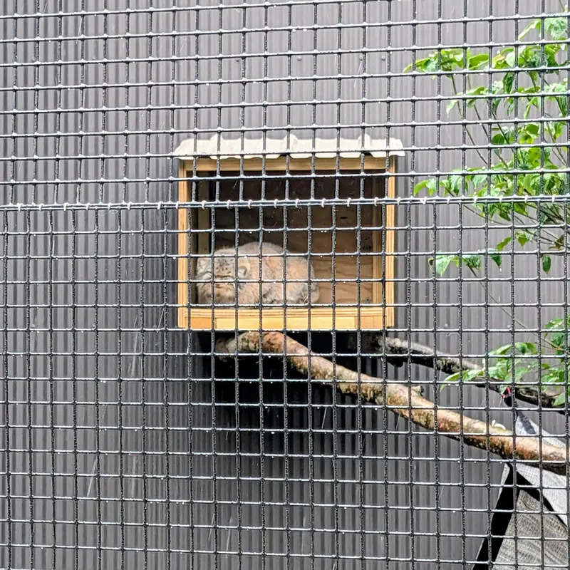 A photograph of Reza in Elmwood Park Zoo