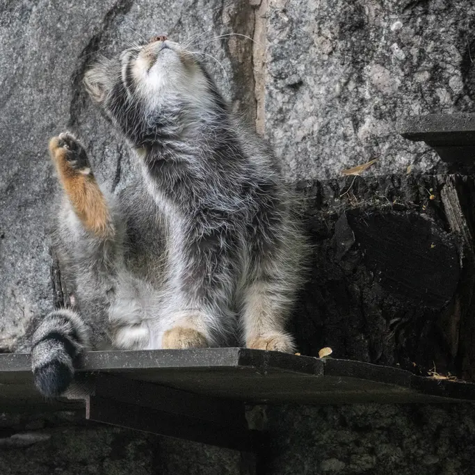 A photograph of Timofey in Moscow zoo