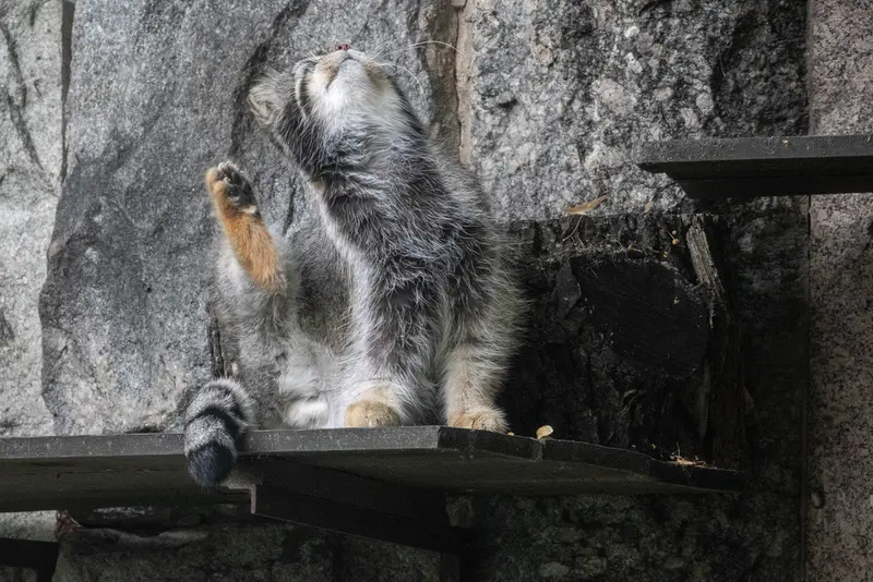 A photograph of Timofey in Novosibirsk Zoo