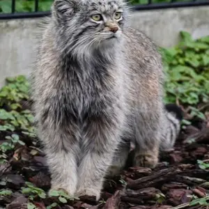A photograph of Saran in Bio-Topia Dunkerque