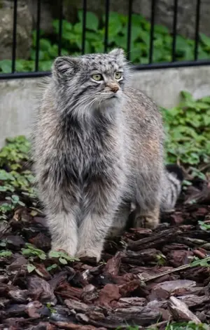 A photograph of Saran in Bio-Topia Dunkerque
