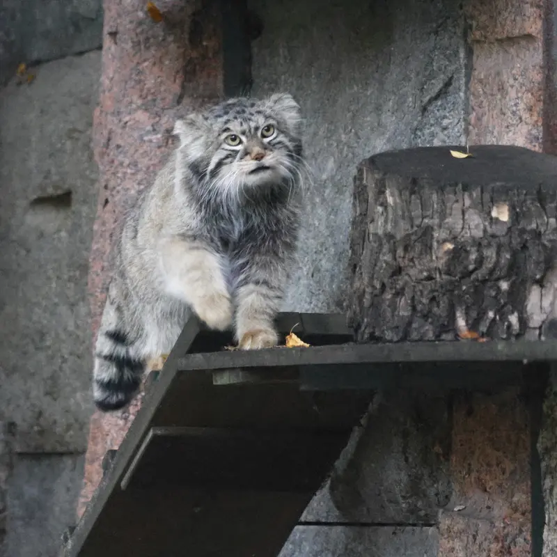 A photograph of Timofey in Moscow zoo