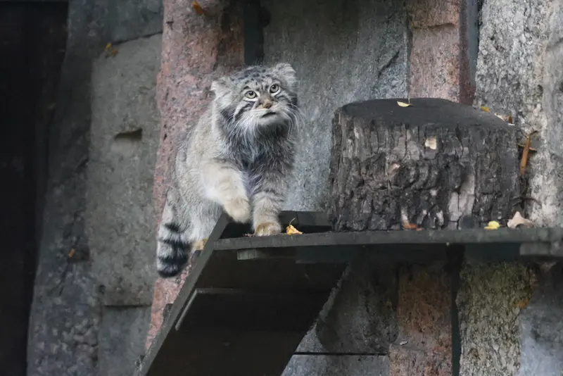 A photograph of Timofey in Moscow zoo