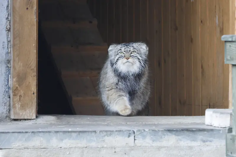 A photograph of Timofey in Moscow zoo
