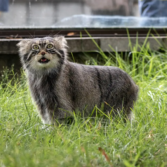 A photograph of Timofey in Moscow zoo