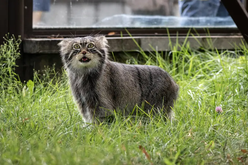A photograph of Timofey in Moscow zoo