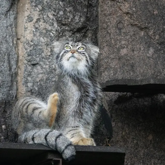 A photograph of Timofey in Moscow zoo