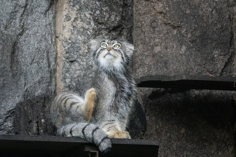 A photograph of Timofey in Moscow zoo