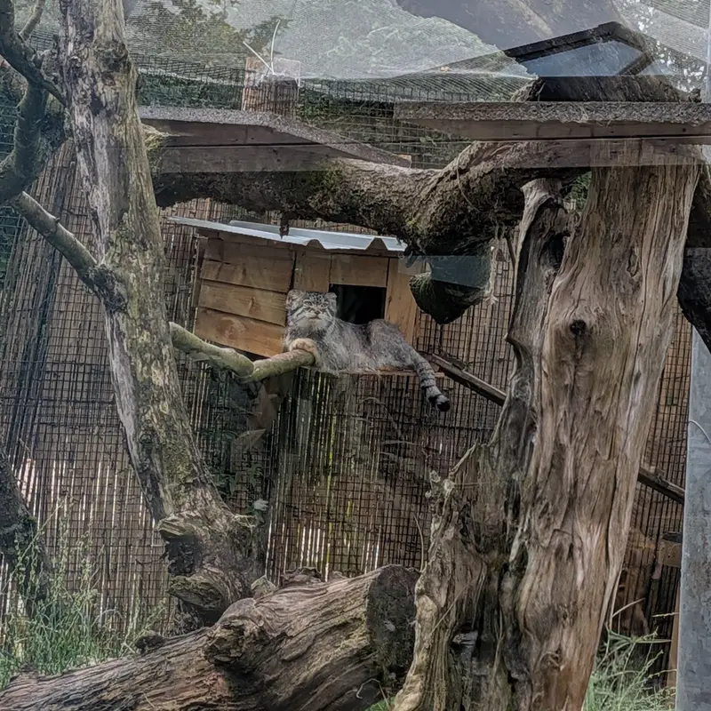 A photograph of Bat-Erdene in The Lakeland Wildlife Oasis