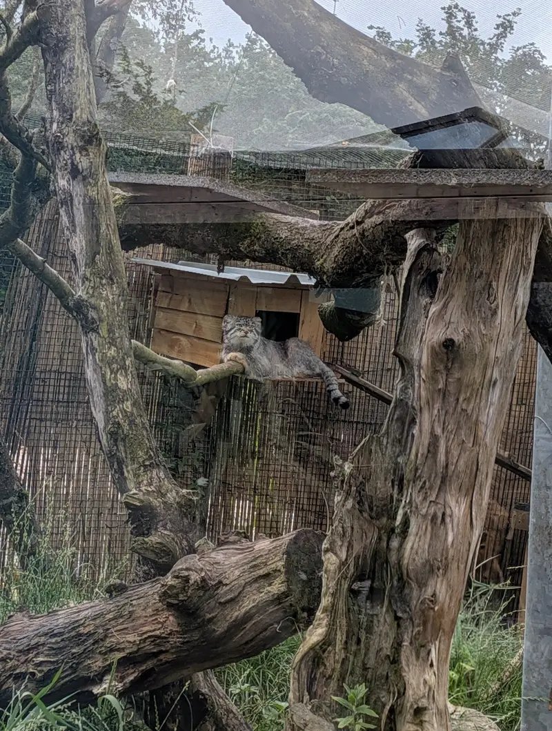 A photograph of Bat-Erdene in The Lakeland Wildlife Oasis