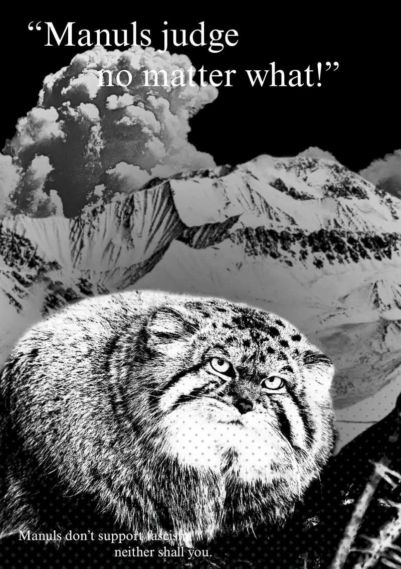 A photograph of a Pallas's cat