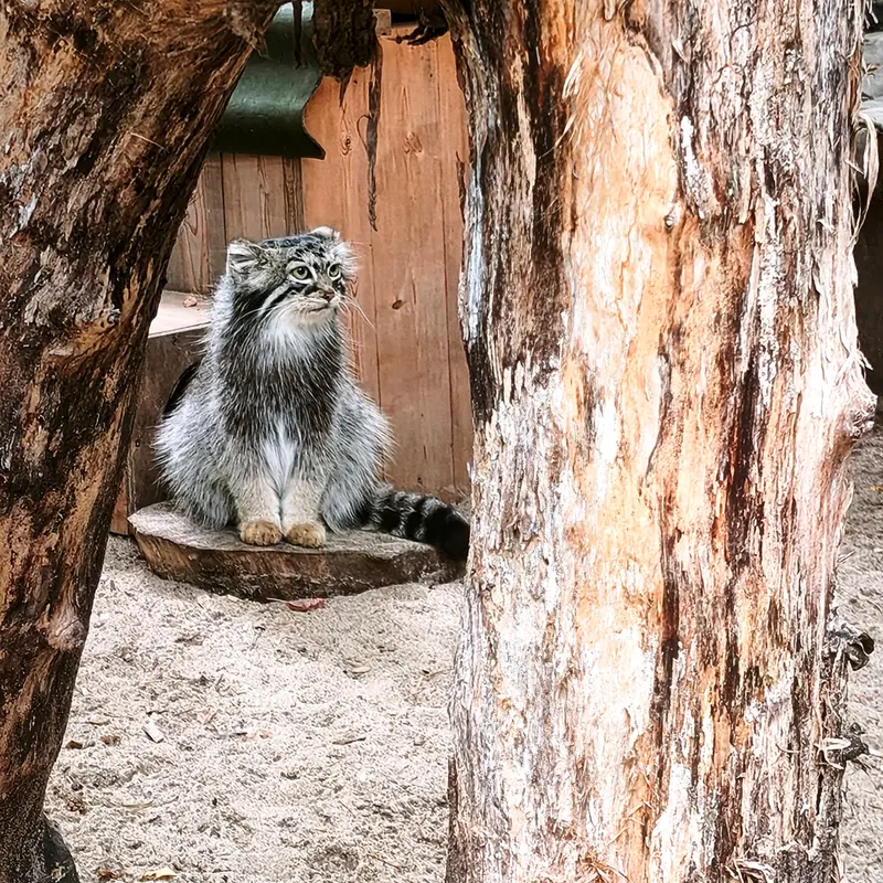 A photograph of Anya in Novosibirsk Zoo