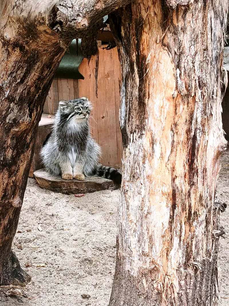 A photograph of Anya in Novosibirsk Zoo