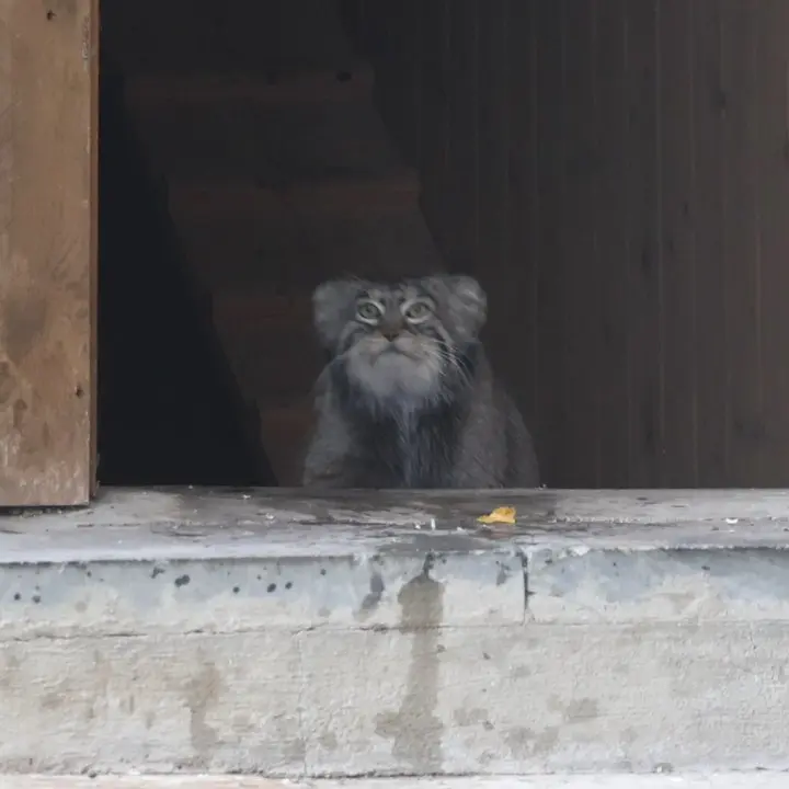 A photograph of Timofey in Moscow zoo