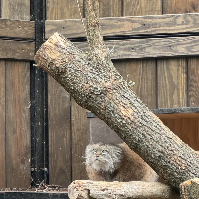 A photograph of Jessie in Warsaw Zoo