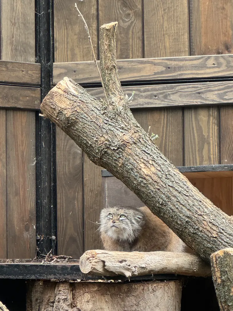 A photograph of Jessie in Warsaw Zoo