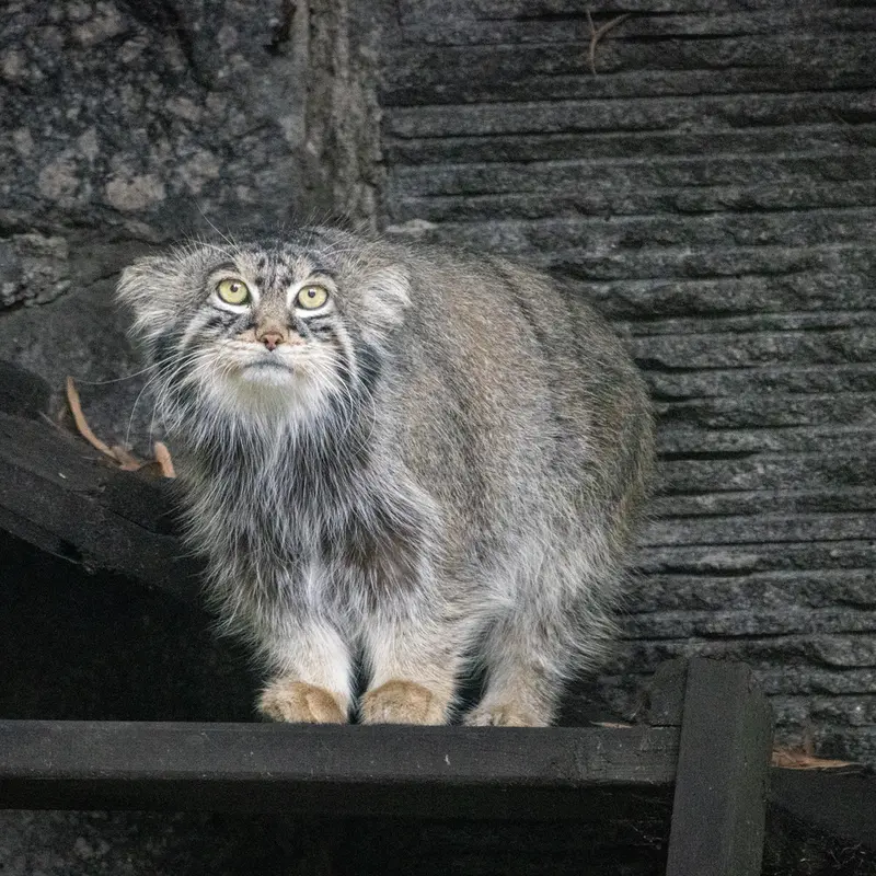 A photograph of Timofey in Moscow zoo