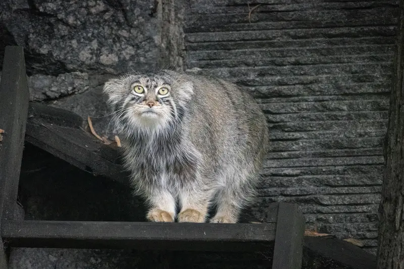 A photograph of Timofey in Moscow zoo