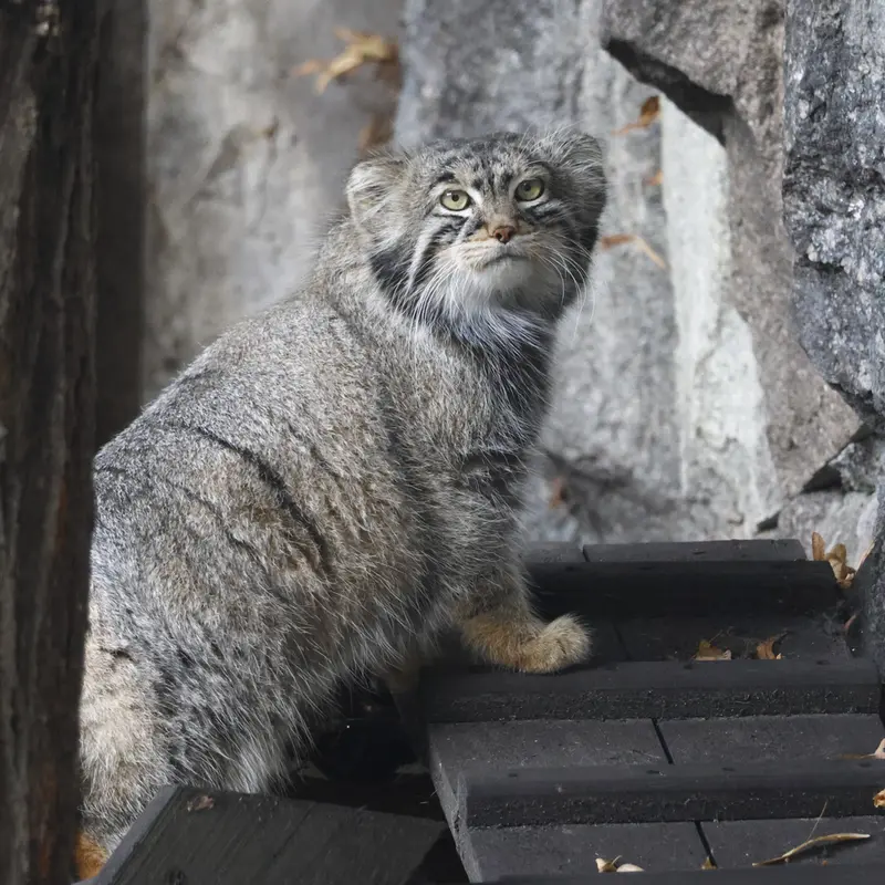 A photograph of Timofey in Moscow zoo